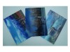 4D Lenticular Business Cards Toronto